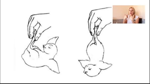 Определяю ПОЛ ЦЫПЛЯТ смотреть онлайн