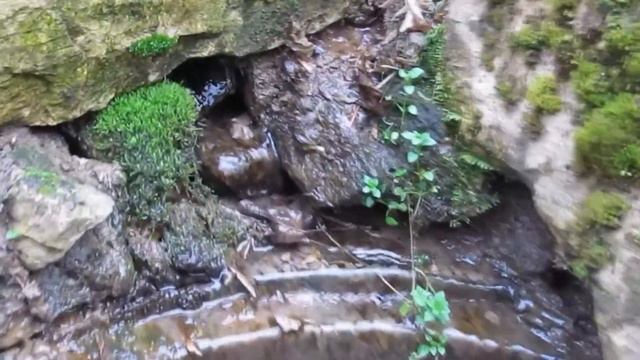 В Высоцкий -Течёт речечка, да по песочеку ... смотреть онлайн