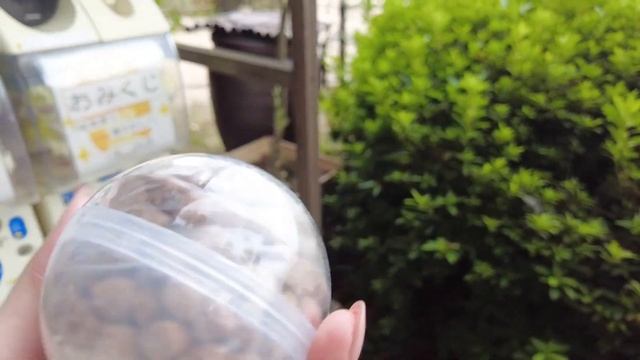 日本三大庭園で癒される1日【岡山】後楽園 смотреть онлайн