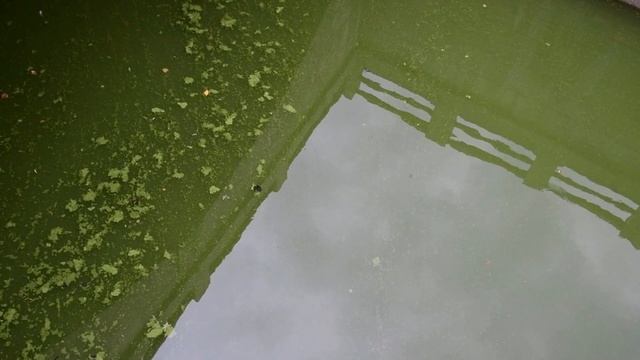 Масонский Петербург