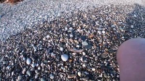 Морская рыбалка с берега  на Чёрном море!