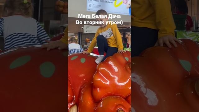 Мега Белая Дача. Где все?