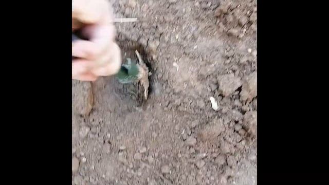 Тестируем Металлоискатель ТХ-850 на глубину - Таджикистан Душанбе !!!! Глубина поиска TX-850 !! смотреть онлайн