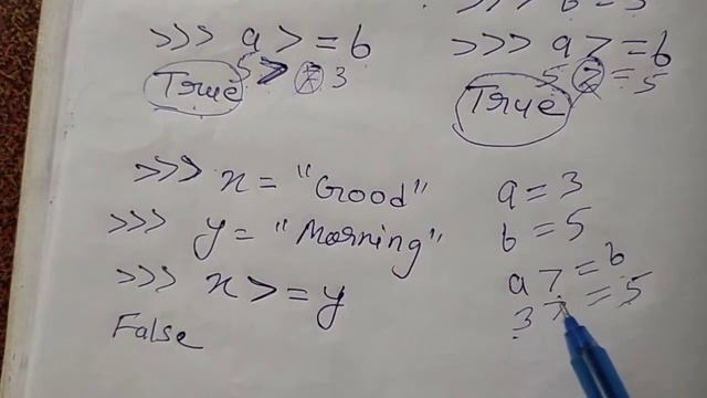 Relational Operators in Python || Class 11 IP & CS CBSE
