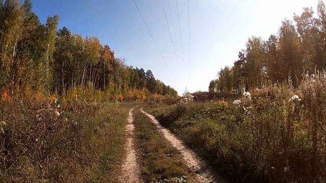 Прогулка по лесу смотреть онлайн