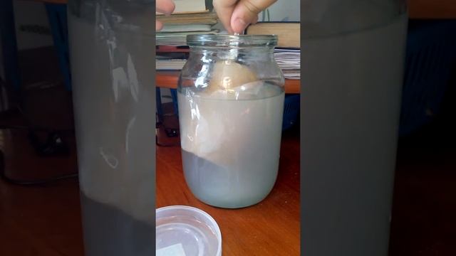 Самодельный репеллент от комаров ! смотреть онлайн