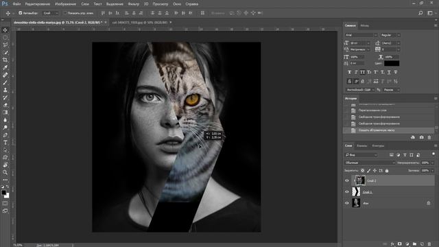 Adobe photoshop как наложить одну картинку на другую