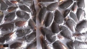 ГОТОВИМ МИДИИ В СТВОРКАХ МИНИ ОБЗОР ОТ АЛЕКСАНДРА ИГРОФФ