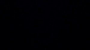 ЧУДЕСНОЕ ПУТЕШЕСТВИЕ НИЛЬСА С ДИКИМИ ГУСЯМИ.