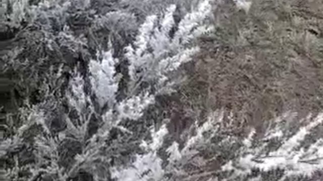 Иней. смотреть онлайн