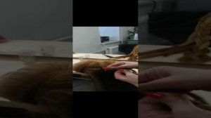 Урок плетения Кос