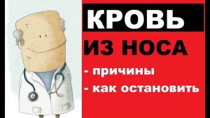 Почему идет кровь из носа: причины, способы остановки