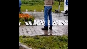 Автомобильные номера