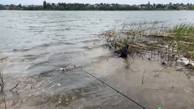 Женская рыбалка на карасевом озере смотреть онлайн