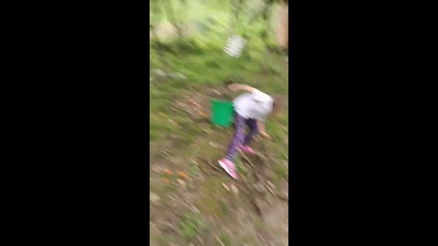 Абхазия сбор мандарин 30 апреля 2022 г. смотреть онлайн