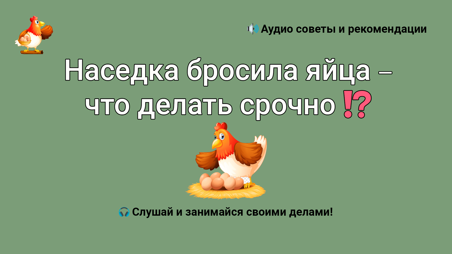 Наседка бросила яйца – что делать срочно ????❓