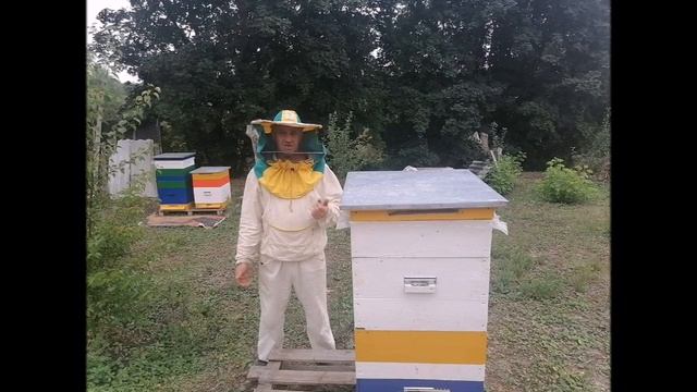 Как осушить забрусный воск смотреть онлайн