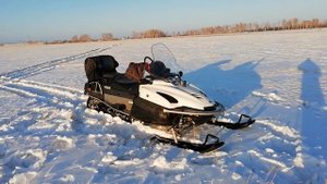 ЯМАХА ВИКИНГ ПРОФЕССИОНАЛ (Yamaha Viking Professional)
