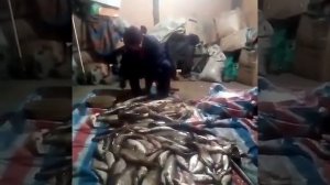 Слёзы жены рыбака)