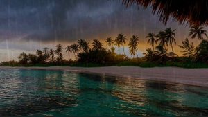 Освежающий дождь после жаркого дня. Шум дождя. Дождь на берегу. Звуки дождя. 
Снятие стресса