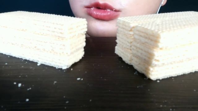 ASMR  NISSIN WAFERS 니신와퍼 ニシンワッパー EATINGSOUND MUKBANG