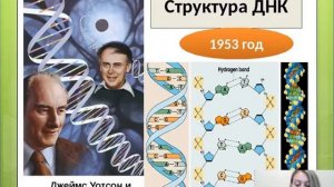 Генетика Предмет, этапы развития и методы генетики Молекулярные основы наследственности 3 курс ТП