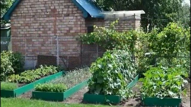 Дизайн огорода: 100 полезных идей смотреть онлайн