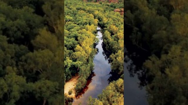 Kakadu National Park Australia | A UNESCO world Heritage Site