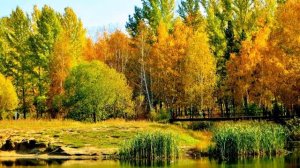 " Осень- листопад "