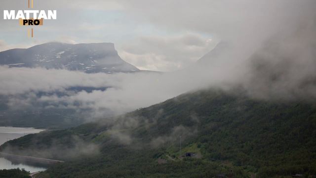 XARIIR AHMED 2020 | SIDA DAHAB KU DHUMAY MEEL | HEES CUSUB смотреть онлайн