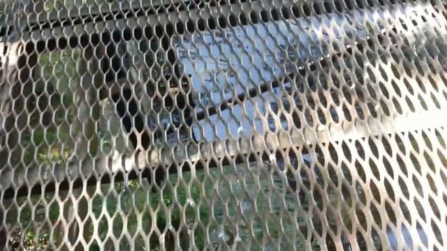 СЪЕЗДИТЕ С ДЕТЬМИ В ЯЛТИНСКИЙ ЗООПАРК "СКАЗКА" смотреть онлайн