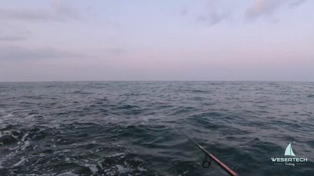 Рыбалка на ставриду в Черном море. Самодур на ставриду. Снасть на ставриду. Ставрида когда ловить.