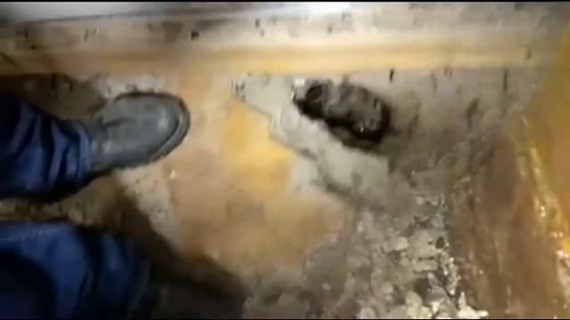 Недоразумения с трубами - последствия смотреть онлайн