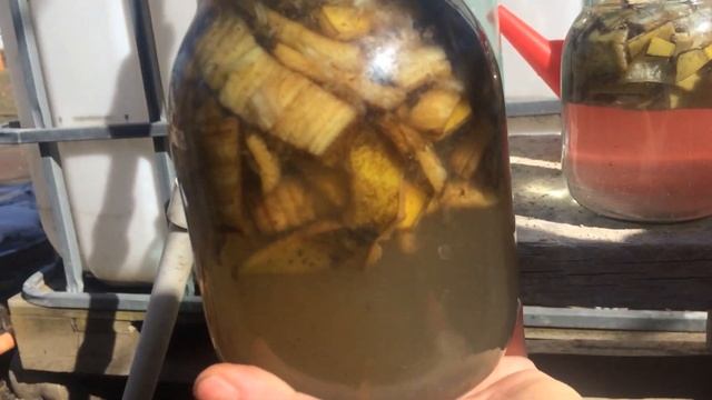 Удобрения из БАНАНОВОЙ КОЖУРЫ
