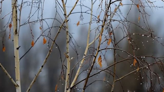 Золотая Осень смотреть онлайн