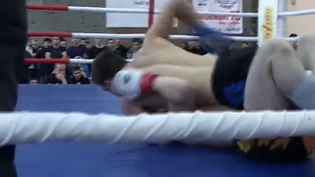 ВладимирАлексеевЗОЛОТО x264