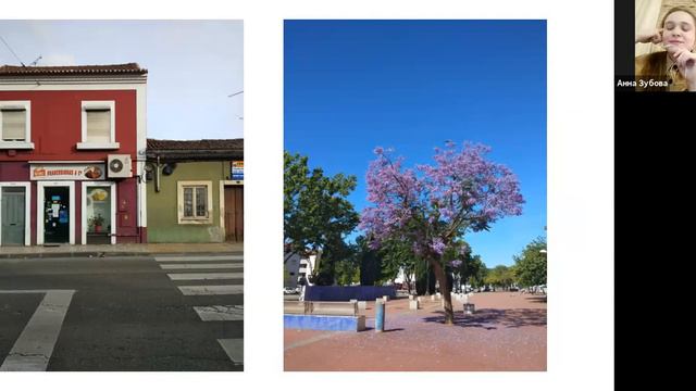 Международное волонтёрство: опыт участия в Португалии (10.02.2021) смотреть онлайн