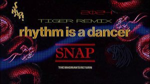 Rhythm is a Dancer _ Red Tiger remix