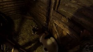 Выгуливаем Милку зимой. Новогодние покупки. Готовим на Новогодний стол. Чистим снег.