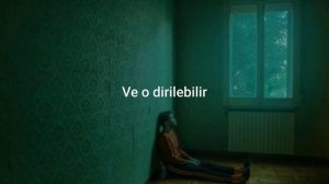 Damien Rice(Elephant) Türkçe Çeviri #ölümefısıldayanadam