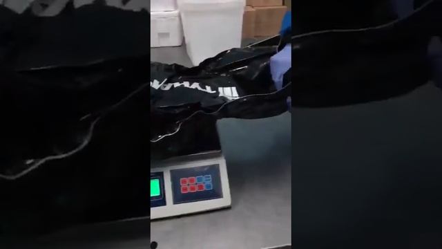 икра Тунайча смотреть онлайн