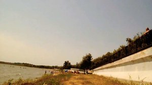Таганрог. Пляж около  села Михайловка. Вода мутная. Много водорослей.  Очень  жарко. 11 час.  4 июл