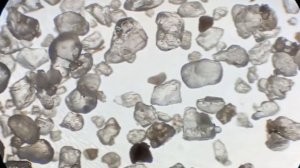 Песок в Увеличении Под Микроскопом