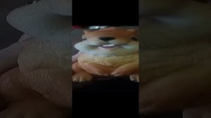 Разговор с Белочкой.