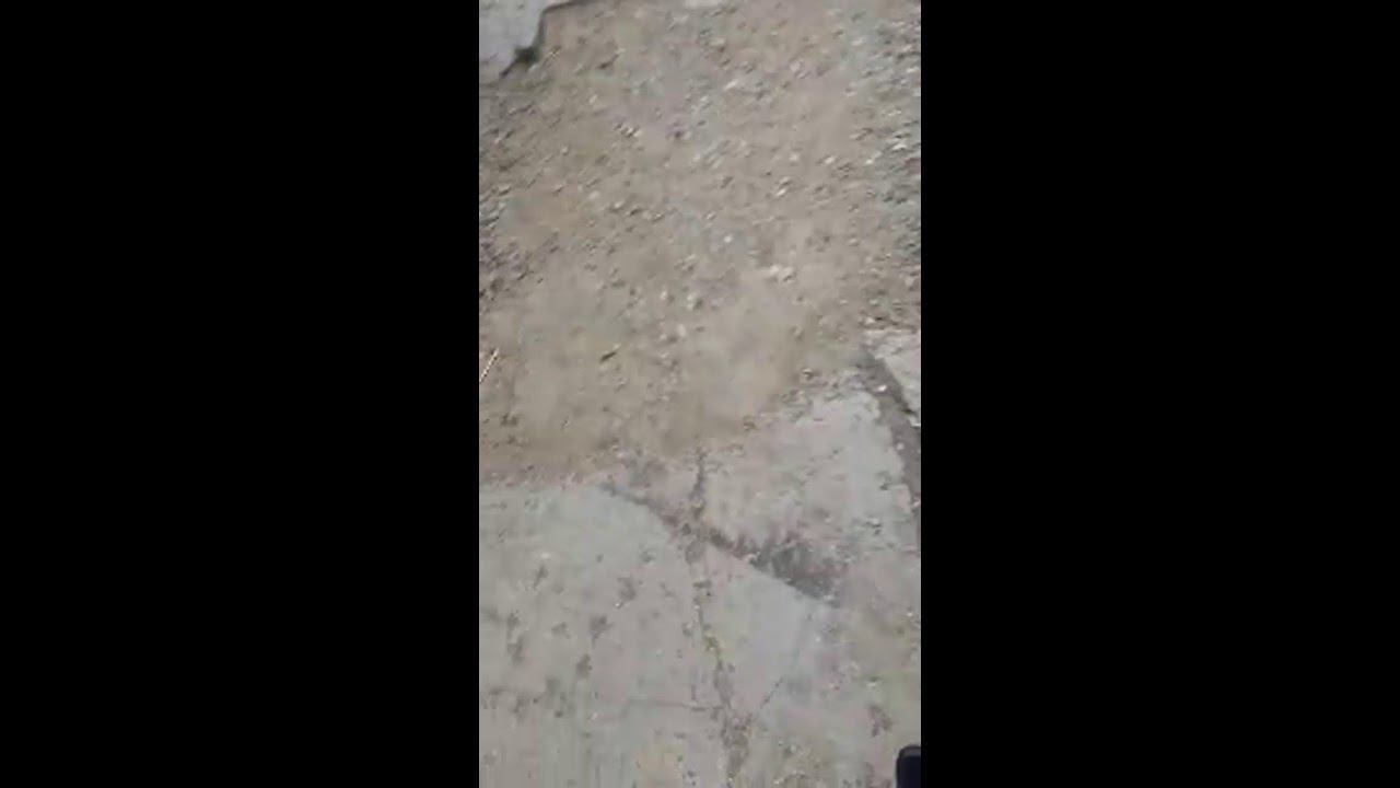 Mr Gamer FF в прямом эфире! смотреть онлайн