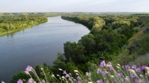 Артём Гельман - К родным станицам