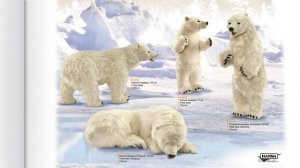 Книга Фауны