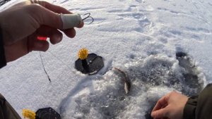 зимняя рыбалка на мото буксировщике