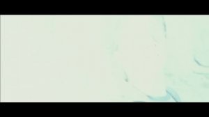 Заклинание Экспекто Патронум