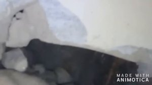 прочистка вентиляции в квартире